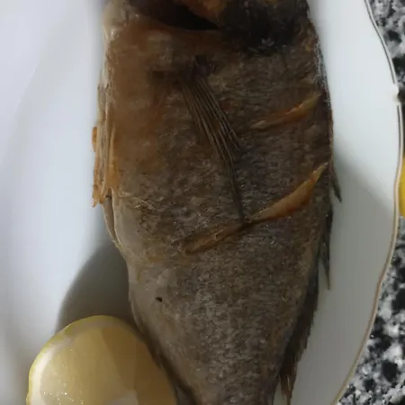 Gæstehus Leonardi Ksamil